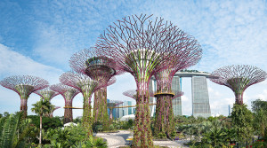 Changi Aiport