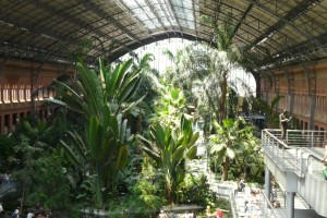 La lussureggiante foresta tropicale della Stazione di Atocha