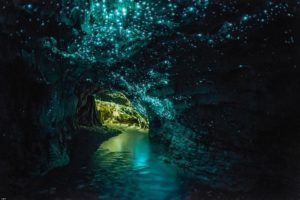 Grotte di Waitomo
