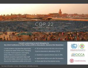 cop22-dal-7-al-18-novembre-2016-a-marrakech-22ma-conferenza-onu-sul-clima