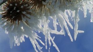 cristallo-di-neve-a-70-anni-dalla-prima-neve-artificiale