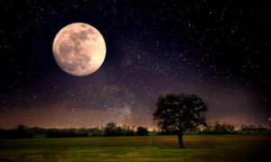 il-14-novembre-tutti-a-naso-in-su-ce-la-superluna