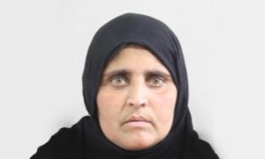 sospesa-lespulsione-di-sharbat-gula