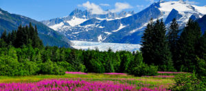 Alaska. Ghiacciaio Mendenhall 