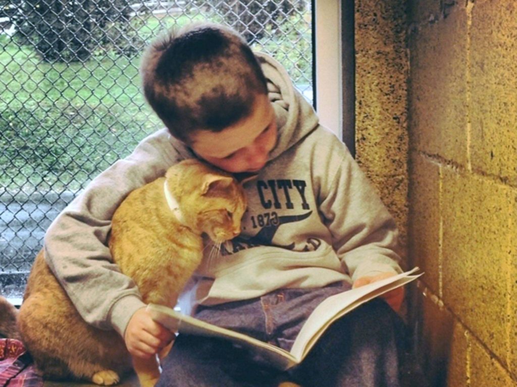 leggere-8