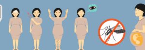 zika-pericolo-per-donne-in-gravidanza-e-nascituri