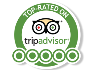 logo tripAdvisor 2