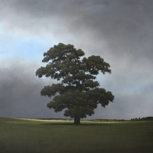 Hinterland