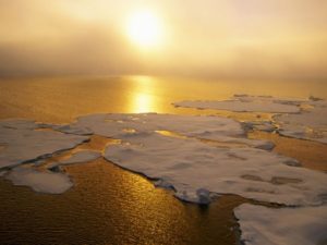 global-warming