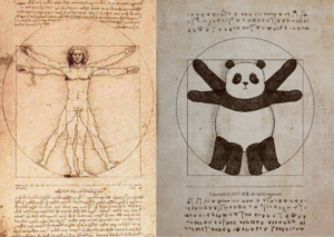 Panda Vitruviano dall'uomo omino di Leonardo da Vinci